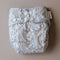 Pixie Pocket + All in Two Nappy COVER